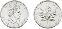 palladium canadian maple leaf coin